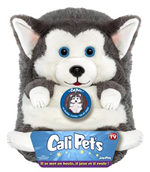 Cali Pet's chien