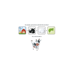 Concept - Kids Animaux