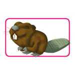 Concept - Kids Animaux
